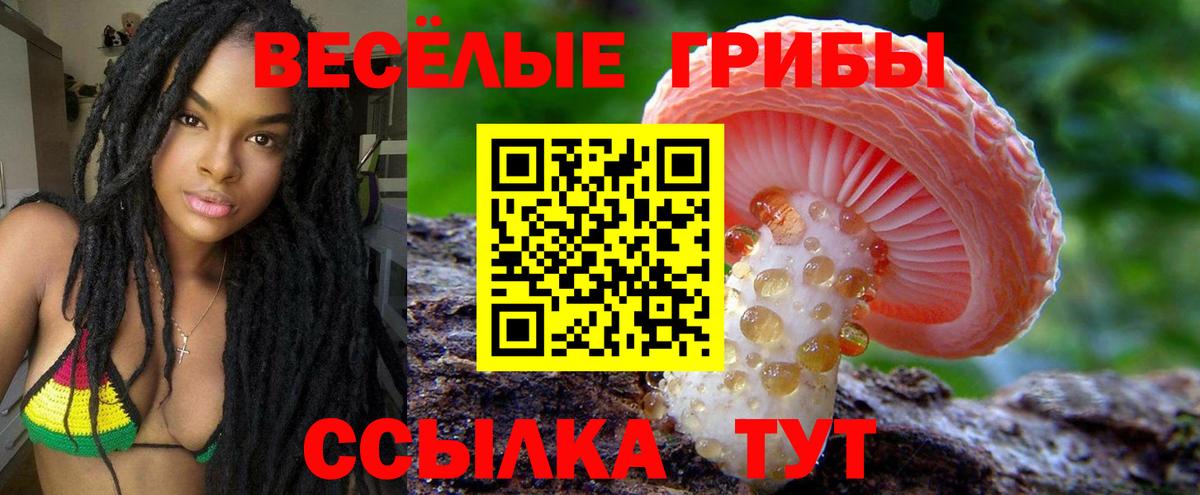 Галлюциногенные грибы Cubensis  Вход с VPN  Лыткарино  сколько стоит  Псилоцибиновые грибы Psilocybe 